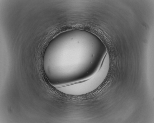 X0000112801345200909041424