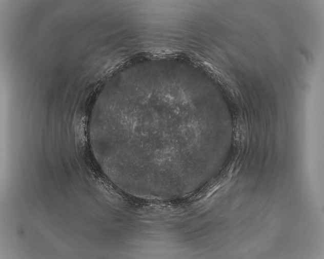 X0000112801346200909041424