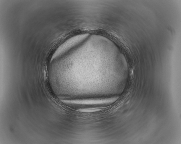 X0000112801348200909041424