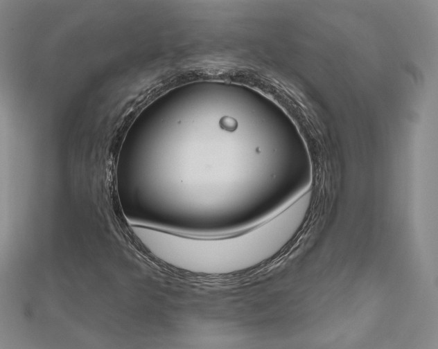 X0000112801349200909041424