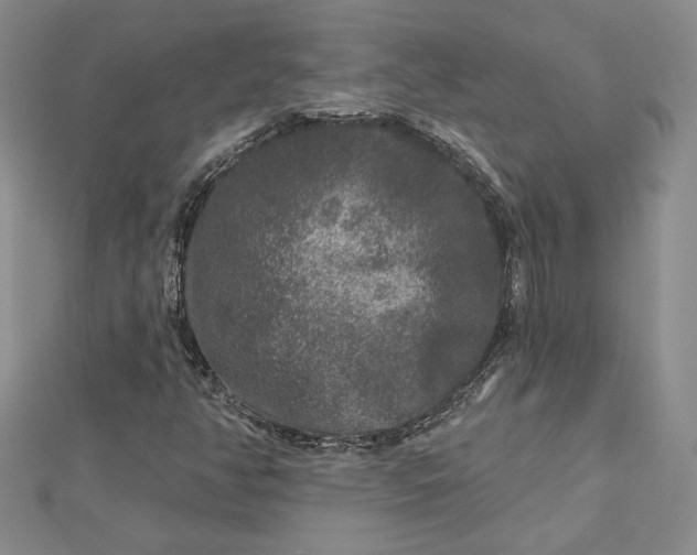 X0000112801350200909041424