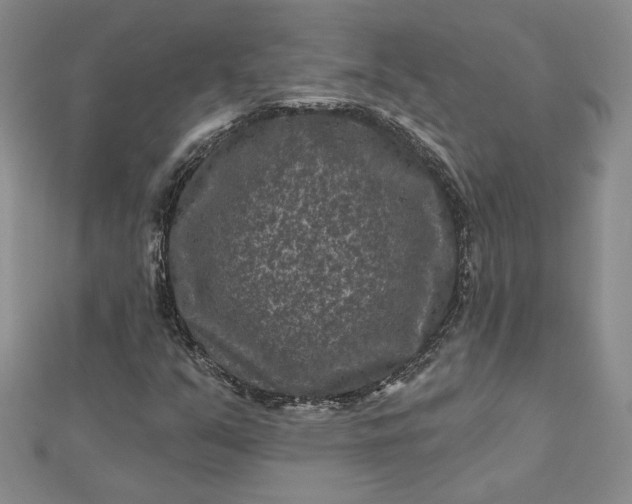 X0000112801351200909041424