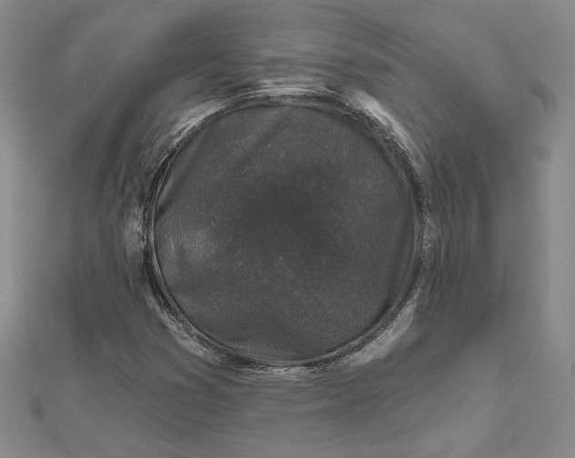 X0000112801353200909041424