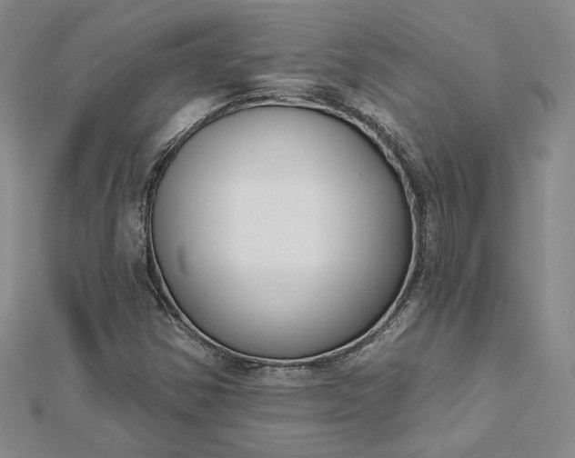 X0000112801354200909041424