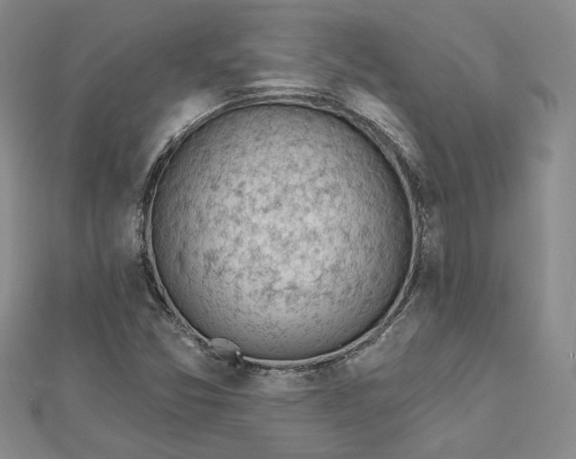 X0000112801357200909041424