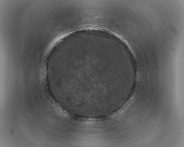 X0000112801359200909041424