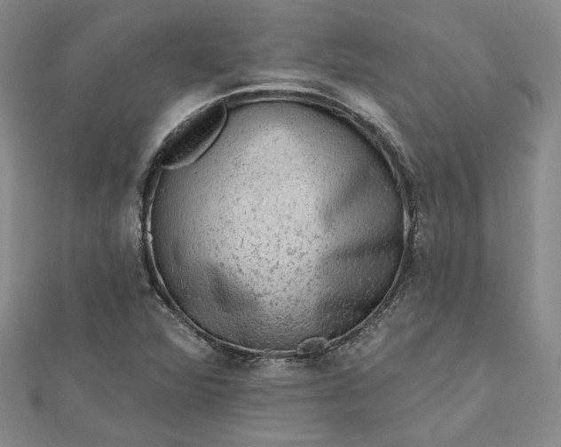 X0000112801360200909041424