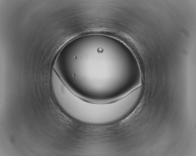 X0000112801361200909041424