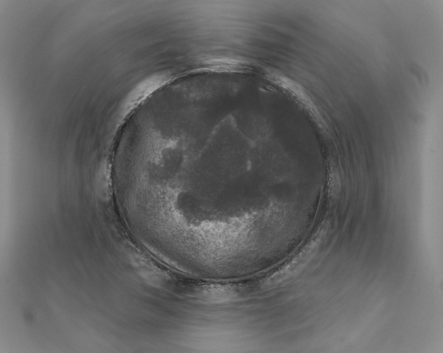 X0000112801362200909041424