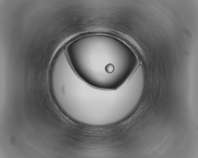 X0000112801364200909041424