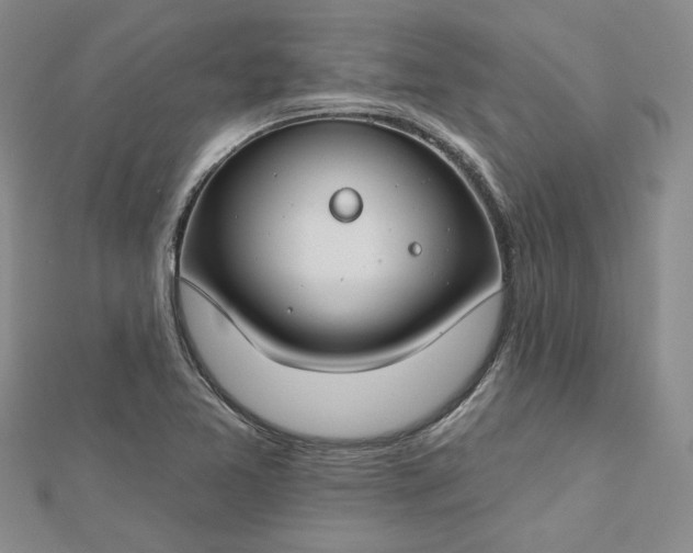 X0000112801365200909041424