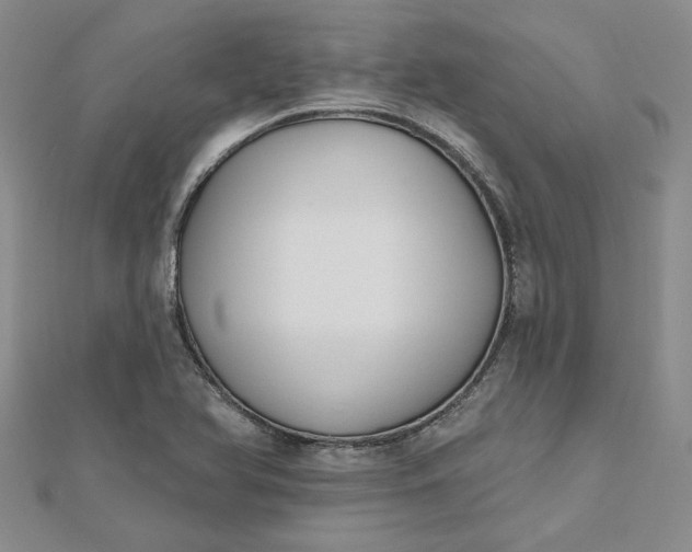 X0000112801366200909041424