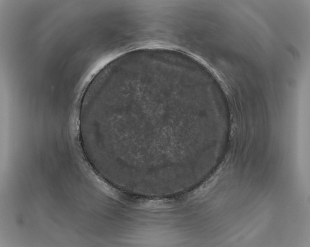 X0000112801367200909041424
