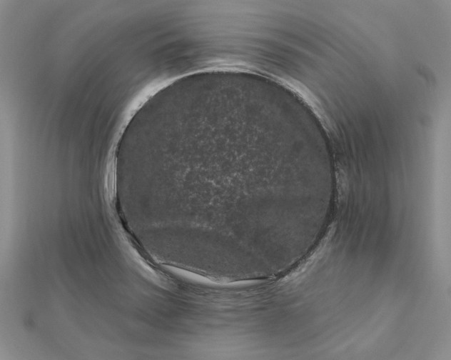 X0000112801371200909041424