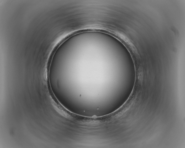 X0000112801372200909041424