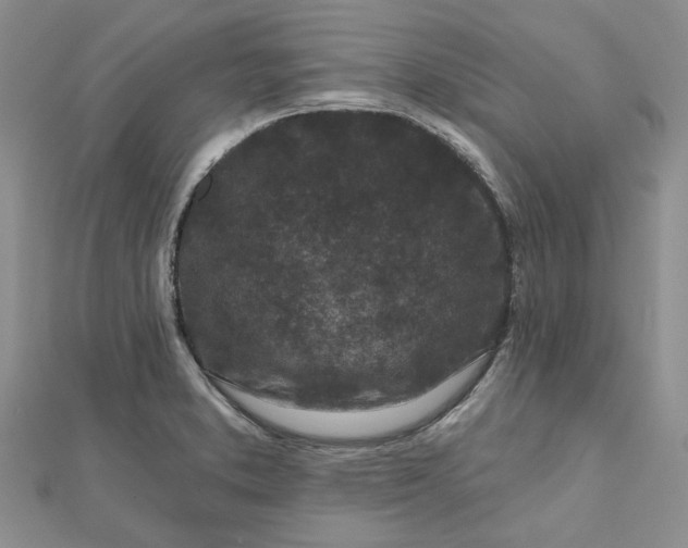 X0000112801373200909041424