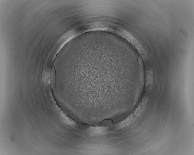 X0000112801377200909041424