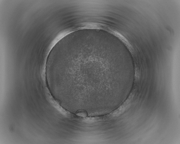 X0000112801378200909041424