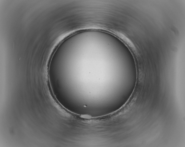 X0000112801380200909041424