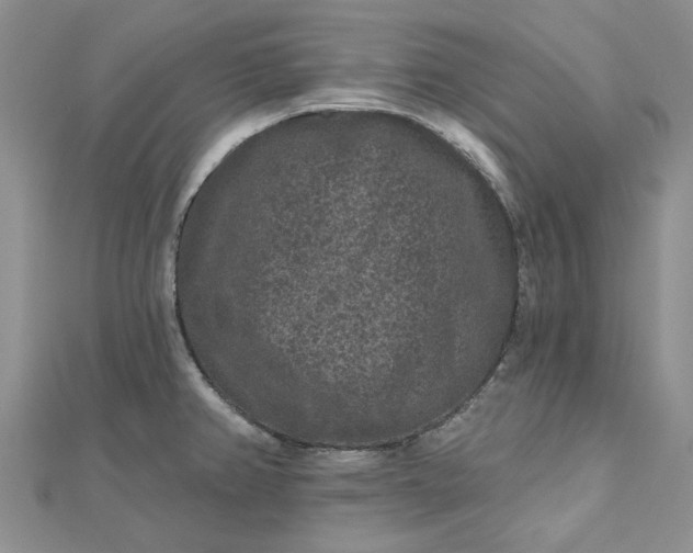X0000112801382200909041424