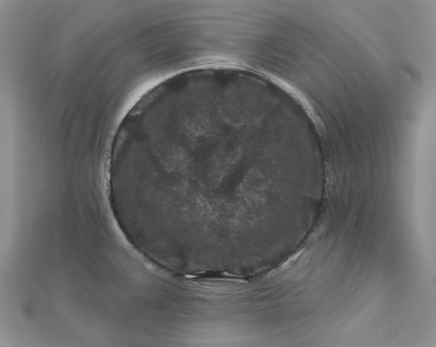 X0000112801383200909041424