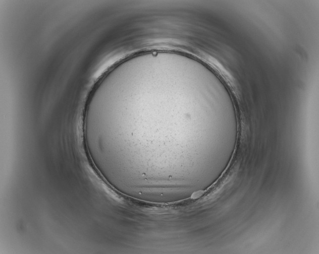 X0000112801384200909041424