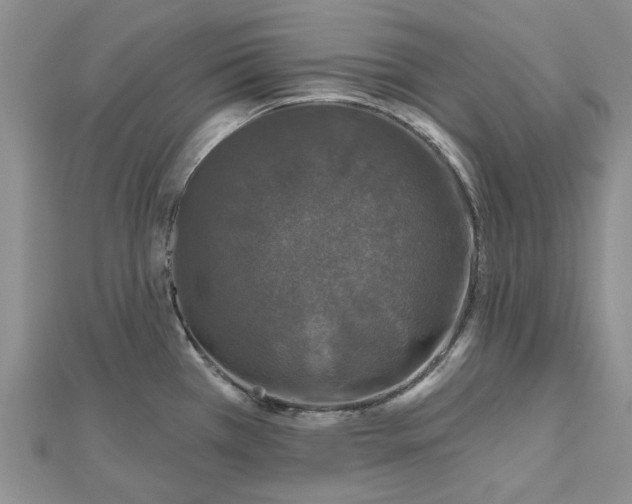 X0000112801385200909041423