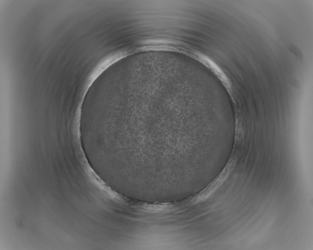X0000112801386200909041423
