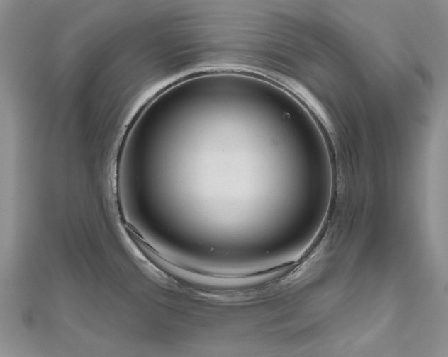 X0000112801388200909041423