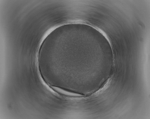 X0000112801389200909041423