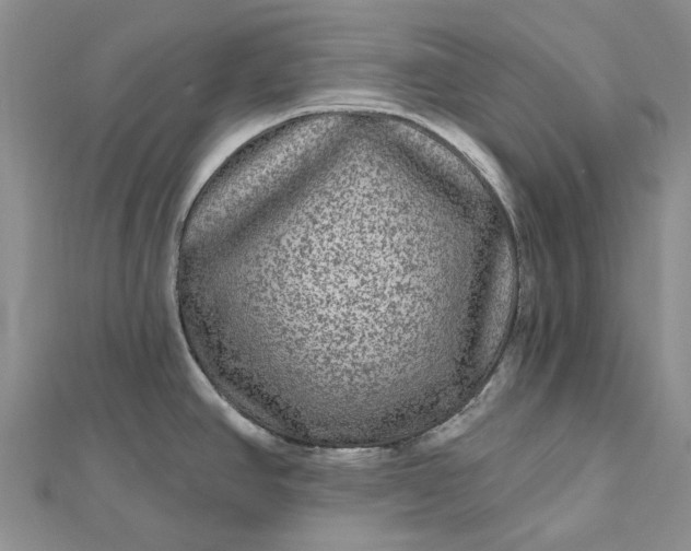X0000112801390200909041423
