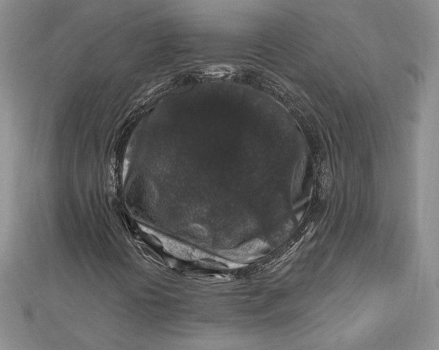 X0000112801394200909041423
