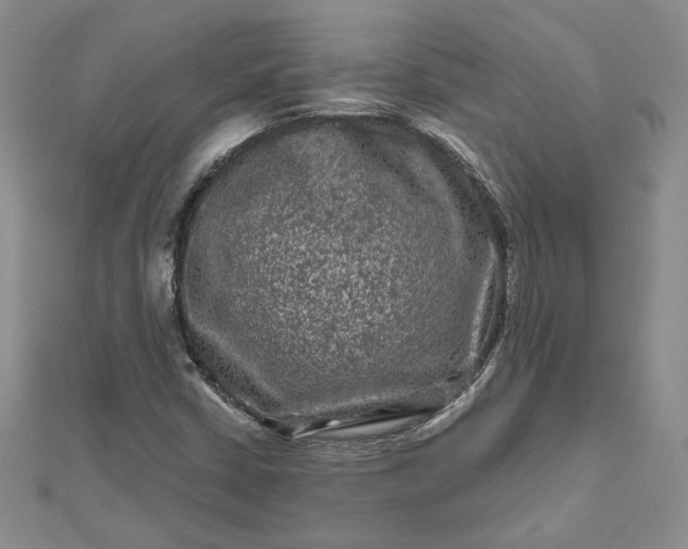 X0000112801402200909041423