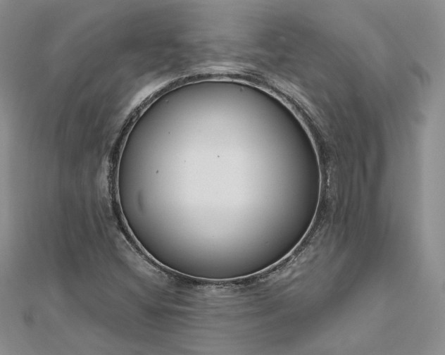 X0000112801404200909041423