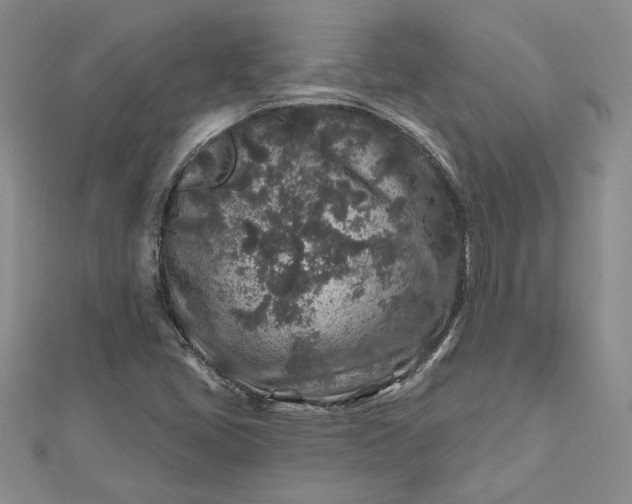 X0000112801405200909041423