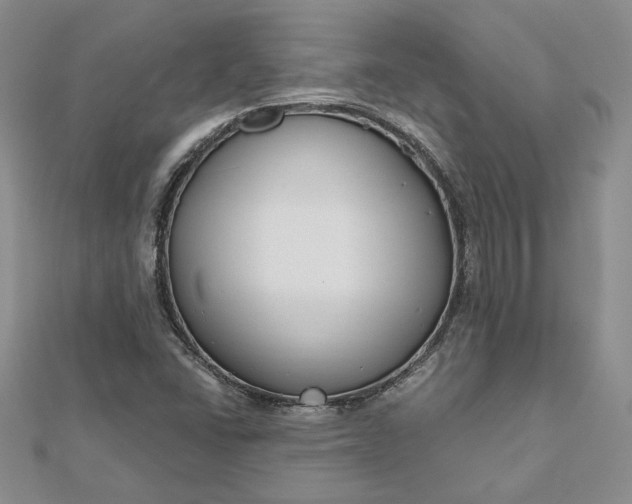X0000112801406200909041423