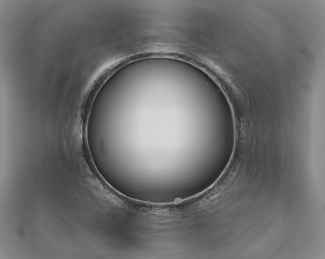 X0000112801408200909041423