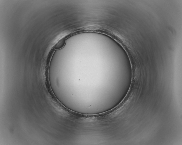 X0000112801410200909041423