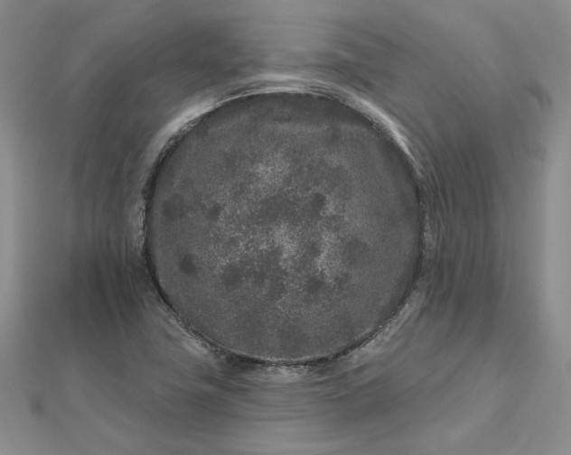 X0000112801411200909041423