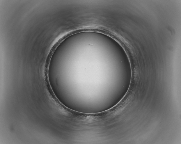 X0000112801412200909041423