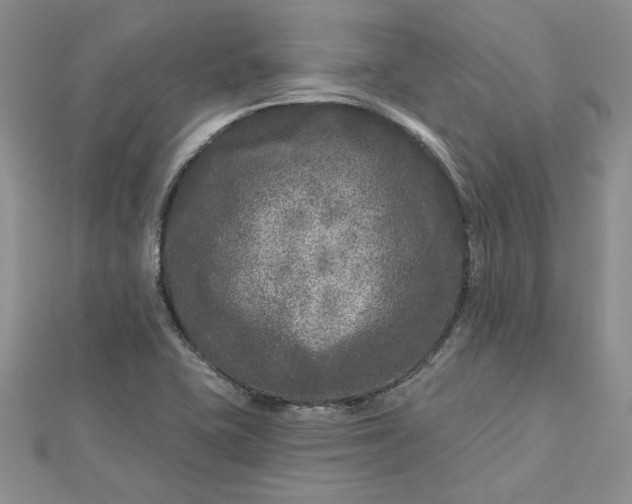 X0000112801415200909041423