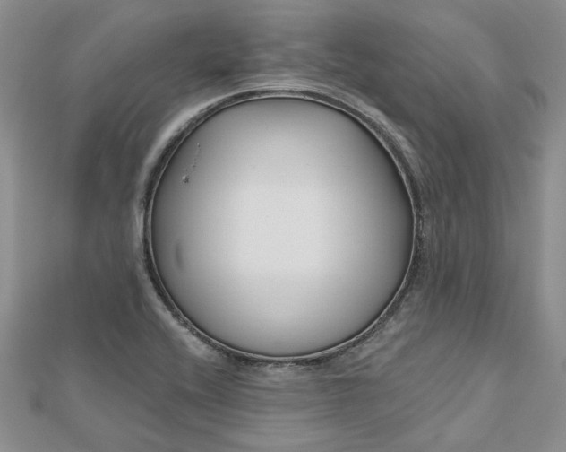X0000112801416200909041423