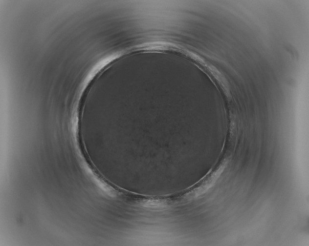 X0000112801418200909041423