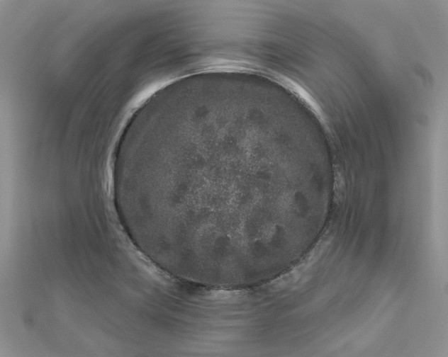 X0000112801419200909041423