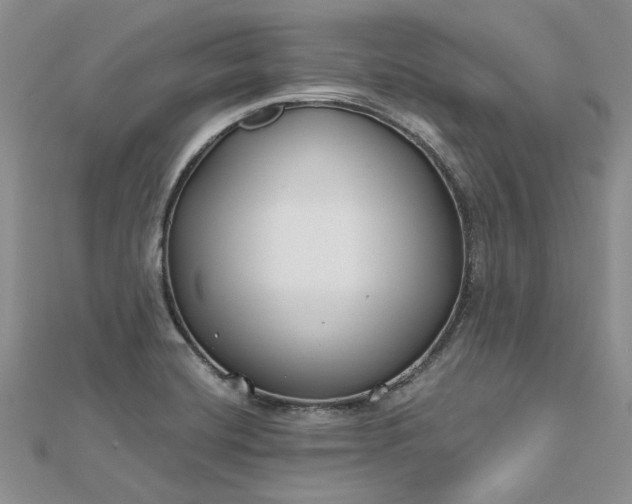 X0000112801420200909041423