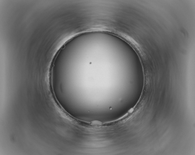 X0000112801423200909041423