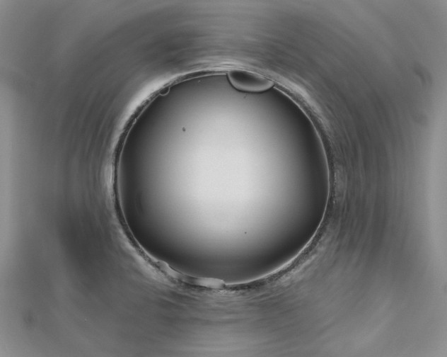 X0000112801424200909041423