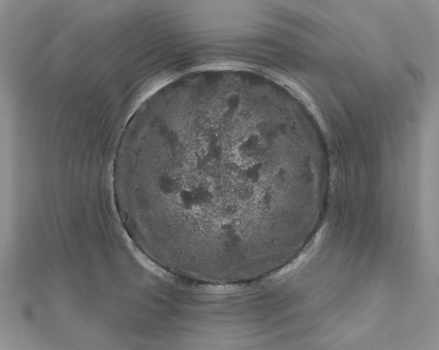 X0000112801425200909041423