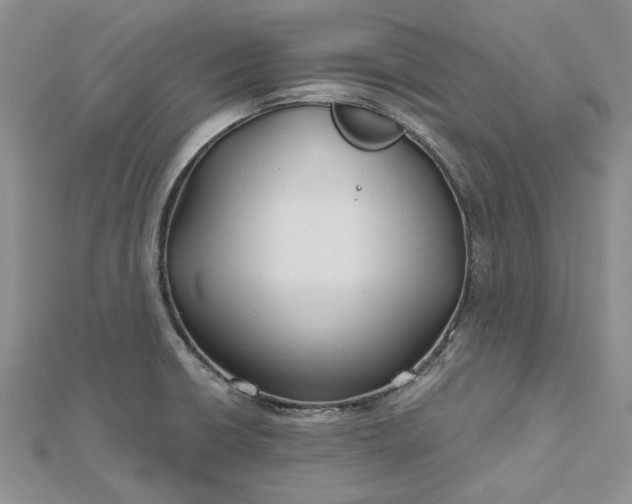 X0000112801426200909041423