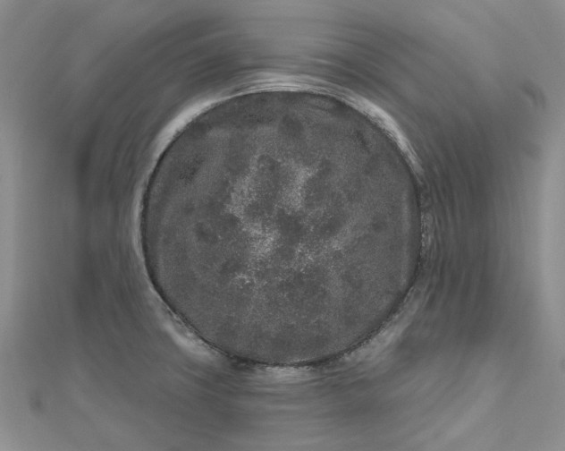 X0000112801427200909041423